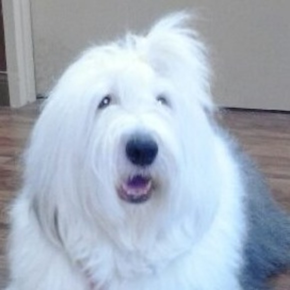 Meet your Posher, Tim - Picture 1 of 1